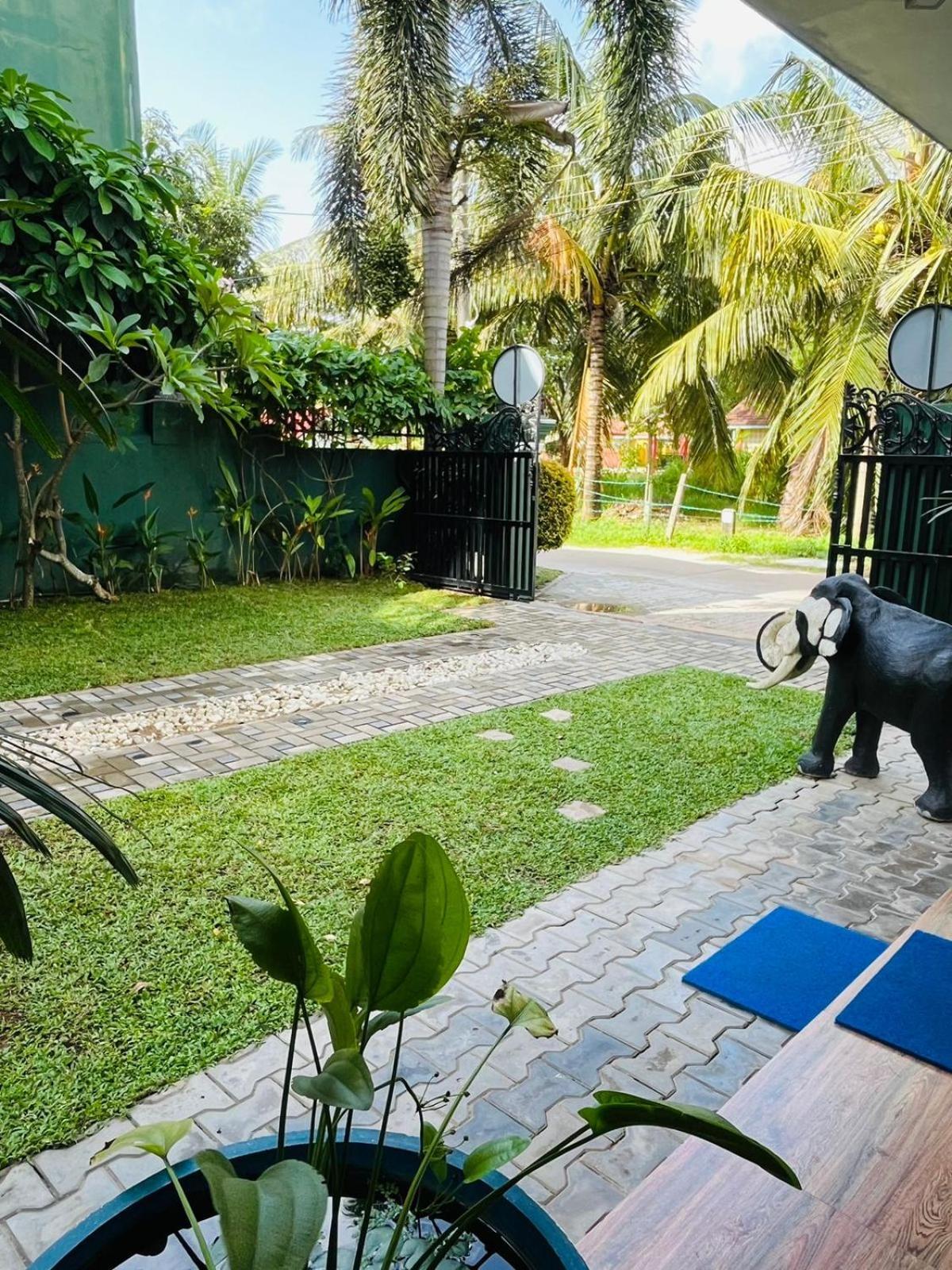 Nebula Residence Negombo Exterior foto