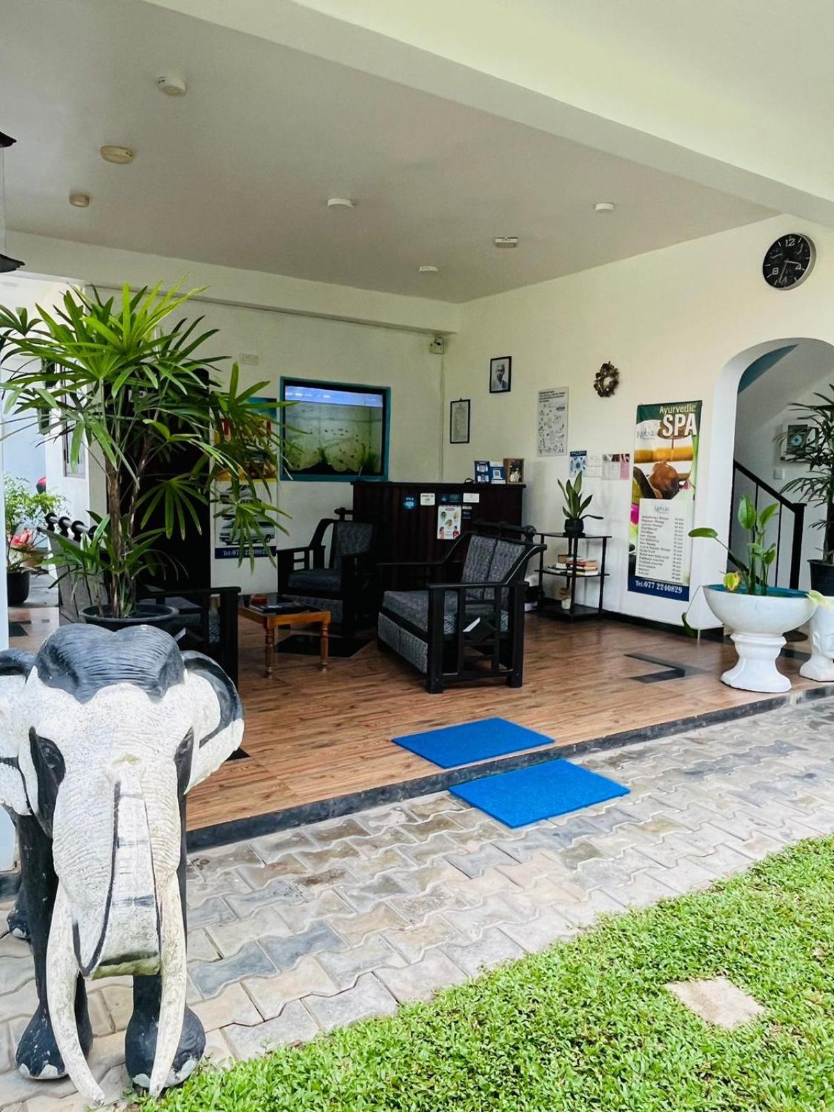 Nebula Residence Negombo Exterior foto